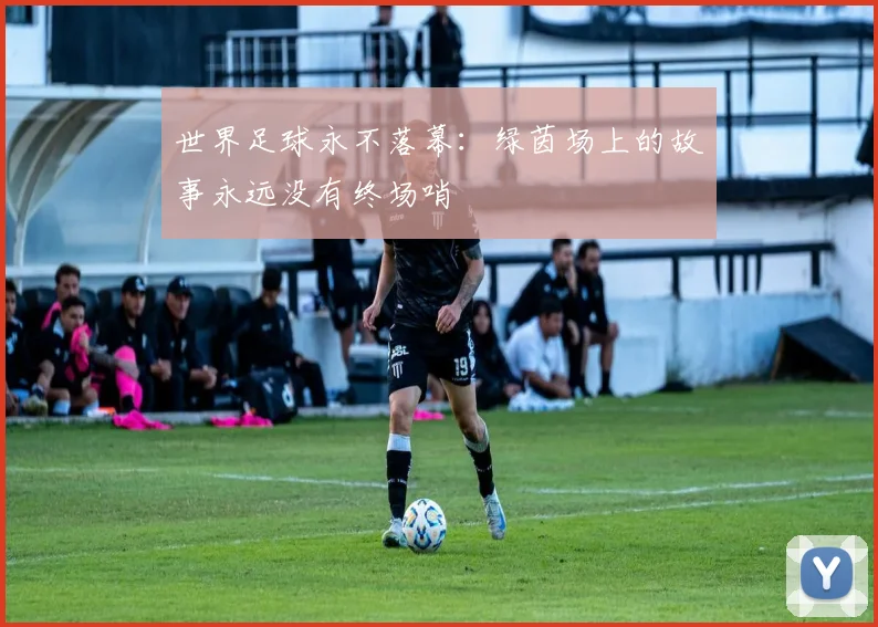 世界足球永不落幕：绿茵场上的故事永远没有终场哨